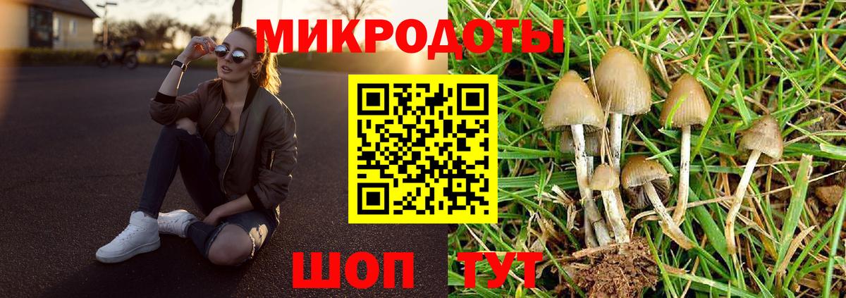 Псилоцибиновые грибы ЛСД Кизилюрт